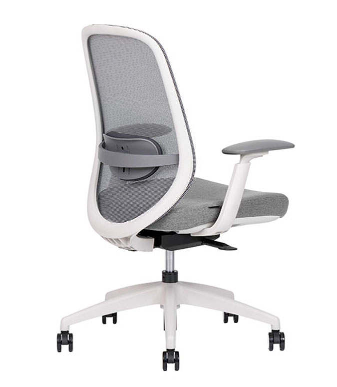 Spirit Express White Bajo